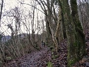 12 Salendo la mulattiera da Romacolo di Zogno a Grumello de' Zanchi